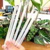 Bịch ống hút trân châu có màng bọc gói 400gram (160 cái)