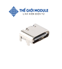 Cổng Type C Cái 3.1 16 Chân