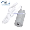Bơm nước mini chìm 12V JT-500 600L