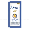 dau-xa-dove-day-84