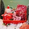 XMAS GIFTSET No.04