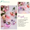 Purple Giftset