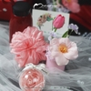 Tulip Giftset
