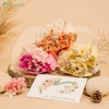 Nến Thơm Set 02
