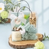 Thư Nhiên Giftset