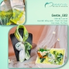 Gentle Giftset