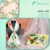 Gentle Giftset