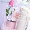Seny Giftset