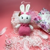 Pink Rabbit