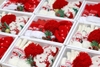 XMAS GIFTSET No.01.02
