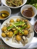 Nội trường gà cỏ