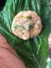 Sụn hấp lá bầu khay nhỏ
