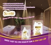 Nước giặt xả Scenté can 10 lít cho Spa, Thẩm mỹ viện, Salon tóc