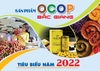 Thiết kế Cẩm nang Sản phẩm OCOP, Nông sản, Đặc sản... đẹp tại Hà Nội