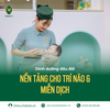 Dinh Dưỡng Đầu Đời: Nền Tảng Cho Phát Triển Trí Não Và Hệ Miễn Dịch