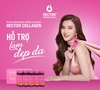 Khám Phá Các Loại Collagen Và Bí Quyết Chọn Collagen Tốt Cho Làn Da