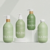 Chai nhựa PE 200ml 300ml 400ml đựng dầu gội sữa tắm vòi nhấn dáng trụ
