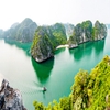 Cung Cấp Vật Tư Công Nghiệp Tại Quảng Ninh – Uy Tín, Giá Tốt, Giao Nhanh