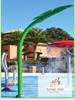 Water leaf - TM-2154