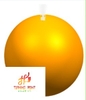 Water globe - TM-2109