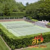 Sân Tennis