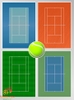 Sân Tennis