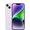 Purple (Tím)