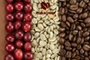 coffee-beans-blend-machine-8