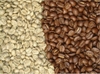 arabica-coffee-typica
