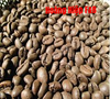 high-quality-robusta