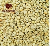 cau-dat-arabica-green-coffee-green-beans-moka