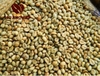 robusta-green-coffee