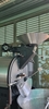 coffee-roasting-machine-15kg-batch-ug-probat-model