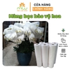 Màng bọc hoa Lan, Màng bọc đa năng (80cm x500m)