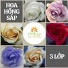 Hoa hồng sáp 3 lớp