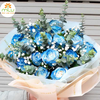 Xịt màu Hasfarm/xịt màu hoa tươi