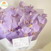 Xịt màu Hasfarm/xịt màu hoa tươi