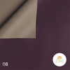 Giấy kiếng màu 02 mặt, kiếng 2 Da Màu