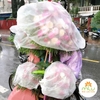 Màng bọc hoa Lan, Màng bọc đa năng (80cm x500m)