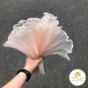 Voan Sóng Ngọc, Voan Ngọc Trai Gợn Sóng