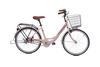 Xe Đạp Đường Phố Thống Nhất LD 24-01 2023 - 24 inch (Có giỏ xe)