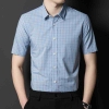 Xanh Nhạt