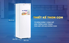 10TI Tủ đông đứng Sanaky VH230VD 213 lít