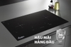 Bếp đôi điện từ Apex APB9981