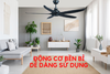 99GD4250 Quạt trần Benny BF-C54HE (cà phê)