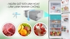 Tủ lạnh Sharp Inverter 287 lít SJ-X316E-DS