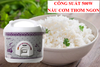 89GD590 Nồi cơm điện Benny BR-12PV