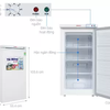 AA5000 Tủ đông đứng Sanaky VH160VD 118 lít