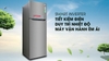 Tủ lạnh LG Inverter 315 lít GN-M315PS