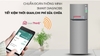 Tủ lạnh LG Inverter 315 lít GN-M315PS